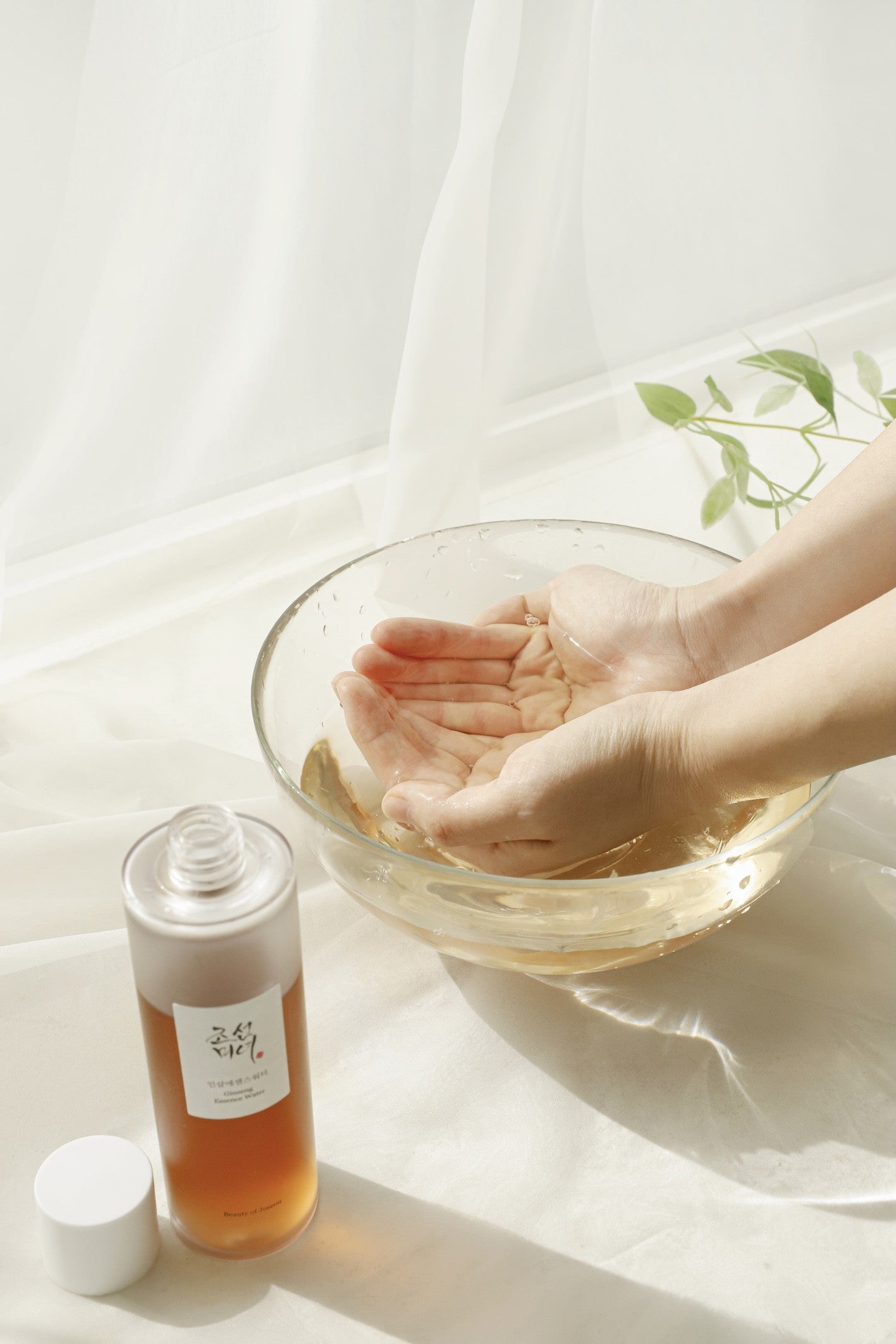 Beauty of Joseon Ginseng Essence Water